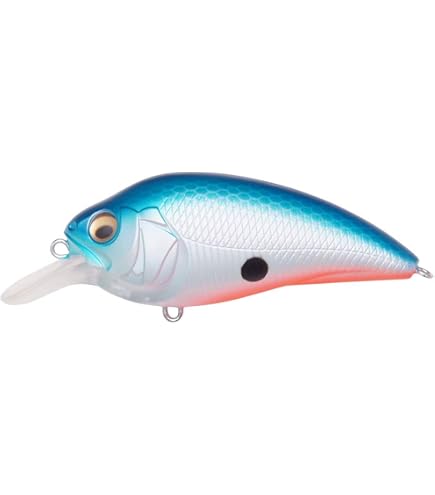 Amazon.com : Megabass Super-Z Z2 Kasumi ITO : Sports & Outdoors